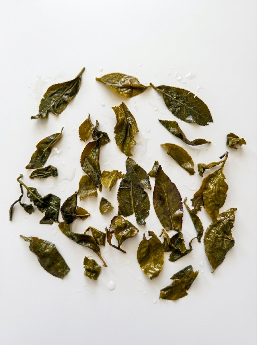 Cloudline Green — Bright Focus