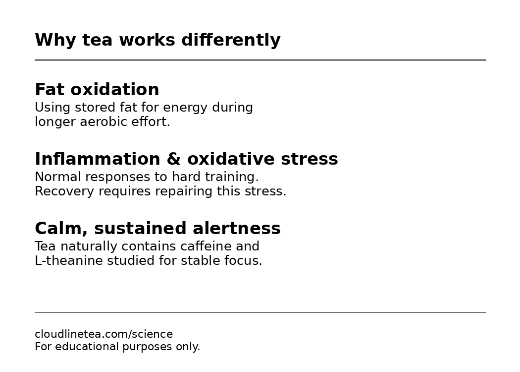 Cloudline Green — Bright Focus