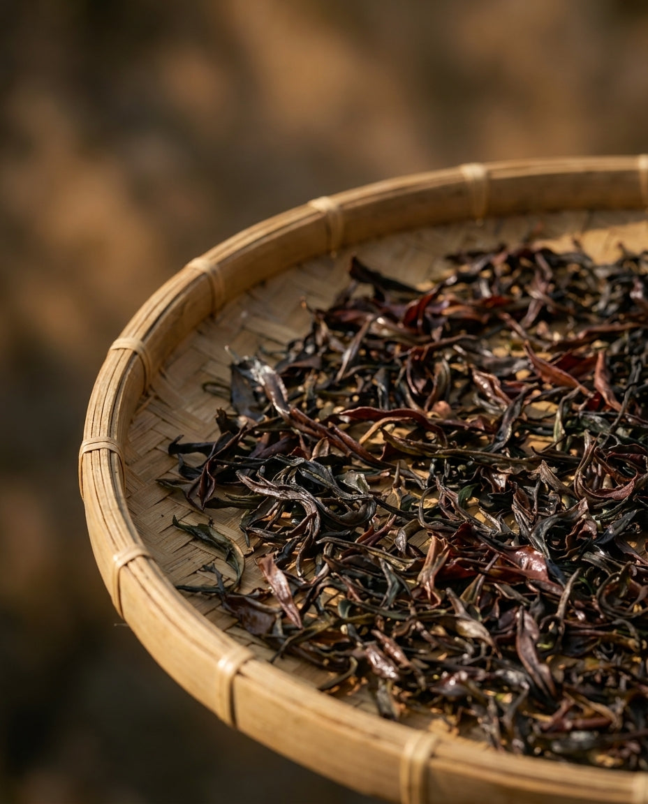 Cloudline Tea Farm — high-elevation tea terraces in Taiwan